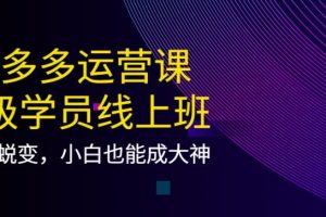 【副业3812】拼多多怎么开店：21天蜕变，小白也能成拼多多大神
