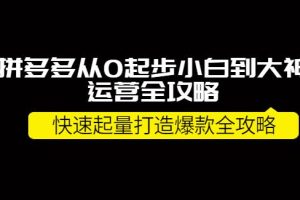 【副业3796】拼多多赚钱项目：拼多多从小白到大神打造10W+爆款全攻略
