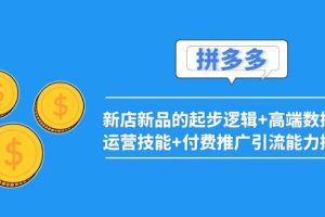 【副业3774】2022拼多多怎么开店：新店新品起步逻辑+数据化运营技能+付费推广引流