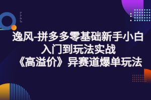 【副业3631】拼多多怎么开店：逸风-拼多多零基础入门到实战《高溢价》赛道爆单课