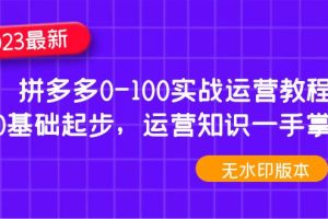 【副业4240期】拼多多赚钱方法：2023拼多多0-100实战运营教程，0基础起步运营教程