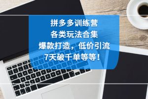 【副业4167期】拼多多店铺运营：爆款打造，低价引流，7天破千单，拼多多训练营