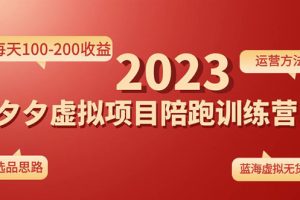 【副业4118期】拼多多虚拟店铺怎么开：单店每天100-200收益《拼夕夕虚拟项目陪跑训练营1.0》