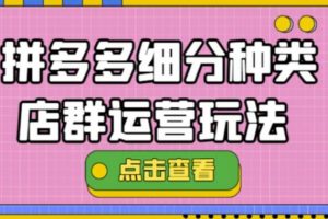 【副业3990】拼多多店群11月最新玩法：拼多多细分种类店群运营玩法3.0