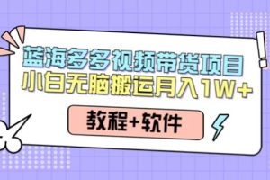 【副业3975】拼多多视频带货教程：小白多多视频带货搬运月入10000+（教程+软件）