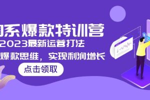 【第4457期】淘宝怎么打造爆款：2023淘系爆款最新运营打法，学习爆款思维，实现利润增长