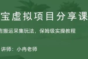 【第4418期】淘宝虚拟店铺怎么做：淘宝虚拟店铺整店搬运采集玩法，保姆级实操教程