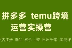 【第5370期】拼多多Temu跨境电商教程：跨境拼多多TEMU实操与选品，​趋势/选品/运营/入住（27节完整）