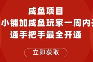 【第5104期】闲鱼如何赚钱：闲鱼开通鱼小铺+闲鱼玩家认证项目，鱼小铺和咸鱼玩家开通教程