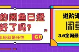 【第4573期】闲鱼怎么卖货：火爆全网的闲鱼玩法，单号日入1K的闲鱼进阶课程