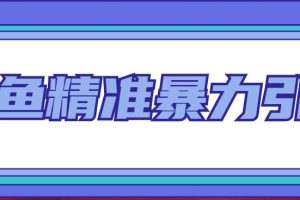 【副业4315期】闲鱼怎么卖货：每天被动精准引流200+闲鱼精准引流客源技术（8节视频课）
