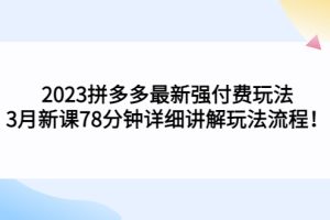 【第4542期】2023拼多多最新付费玩法，3月新课 78分钟详细讲解玩法流程！