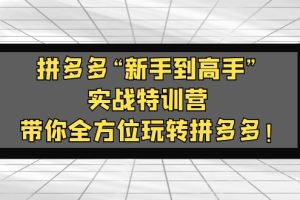 【第4483期】拼多多运营教程：拼多多“新手到高手”实战，带你全方位玩转拼多多