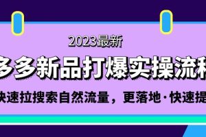 【第4386期】2023拼多多怎么开店：快速拉搜索自然流量，拼多多-新品打爆实操流程