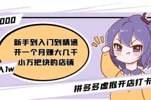 【副业4355期】拼多多虚拟店铺怎么开：新手到入门到精通，拼多多虚拟开店打卡群（2月26全套教程）