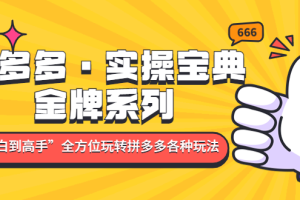 【副业4311期】拼多多怎么开店：小白到高手，拼多多·实操宝典，玩转拼多多各种玩法