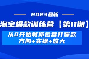 【副业4212期】2023淘宝爆款训练营【第11期】 从0开始教你运营淘宝打造爆款
