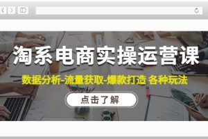 【副业4042期】淘宝店铺怎么开：数据分析-流量获取-爆款打造淘系电商实操运营课