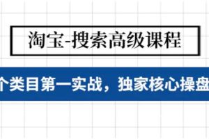 【副业4017期】淘宝如何做排名：多个类目实战排名第一，淘宝搜索高级课程
