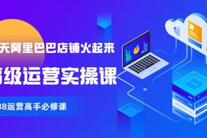 【副业3734】怎么开1688店铺【90天1688店铺火起来】高级运营实操课