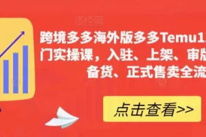 【第6229期】跨境多多海外Temu12天入门实操，入驻、上架、审版、核价、备货、正式售卖全流程