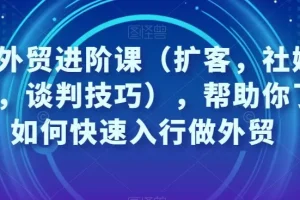 【第6185期】凤姐外贸进阶课（扩客，社媒，沟通，谈判技巧），帮助你快速入行做外贸