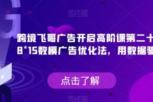 【第5854期】跨境飞哥广告开启高阶课第二十四期，​8*15数模广告优化法，用数据驱动决策