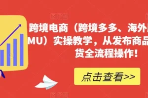 【第5622期】特姆跨境电商怎么做：跨境海外版拼多多TEMU实操教学，从发布商品到售卖发货全流程操作！