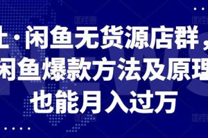 【副业2985期】闲鱼无货源店群，学习闲鱼爆款方法快速出单，月入10000+