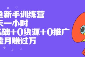 【副业2456期】闲鱼副业训练营：0基础+0货源+0推广+月赚过W