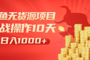 【副业2426期】闲鱼无货源项目：实战操作如何做到日入1000+