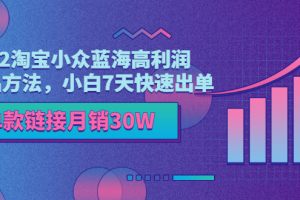 【副业3519期】2022淘宝小众冷门类目：高利润选品方法，7天快速出单，单款链接月销30W
