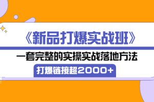 【副业3497期】淘宝新品怎么做起来《新品打爆实战班》实操落地方法，卖爆链接超2000+