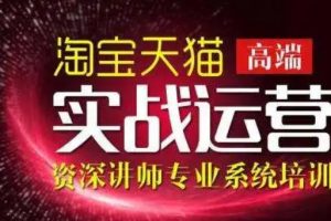 【副业3446期】淘宝电商运营：电子商务实战特训营，308种方式玩转淘宝电商运营