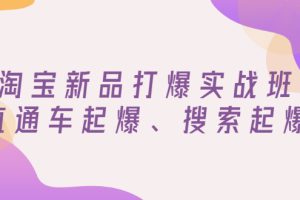 【副业3213期】淘宝新品怎么推广效果最好：淘宝新品直通车起爆、搜索起爆（价值599元）