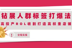 【副业2481期】钻展人群标签打爆法：高投产ROL收割打造高权重店铺(视频实操)
