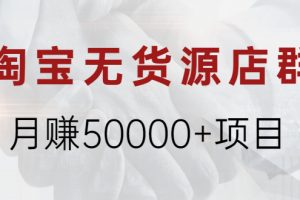 【副业2422期】淘宝无货源店群月赚50000+项目，选品，上架，引流
