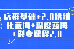 【副业2243期】淘宝店群全套教程：店群基础+精细化蓝海+深度蓝海+裂变课程2.0