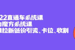 【副业2838期】2022直通车系统课+引力魔方系统课，低价引流、卡位、收割