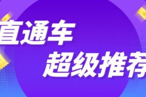【副业2658期】直通车推广怎么做：直通车推广技巧玩转流量精准转化！