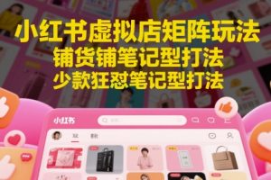 【第9522期】小红书虚拟店矩阵玩法，铺货铺笔记型打法，少款狂怼笔记型打法（更新）