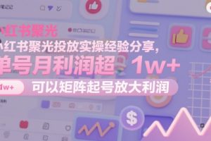 【第9461期】小红书聚光投放实操经验分享，单号月利润超1w+，可以矩阵起号放大利润