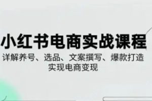 【第9269期】小红书从0-1实操课2025养号、选品、文案撰写、爆款打造实现电商变现