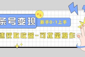 【副业4111期】头条号怎么赚钱：2023头条号实操变现课，0-1快速收益-可批量操作