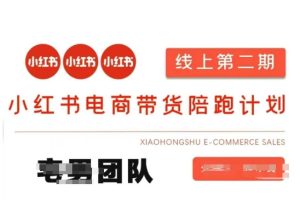 【第9249期】小红书电商带货课2期，月利润20个的小红书电商的有货源，无货源，虚拟产品，付费投流等整套玩法