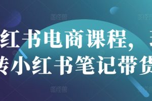 【第9174期】小红书电商课程,玩转小红书笔记带货