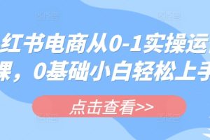 【第9160期】小红书电商从0-1实操运营课，0基础小白轻松上手