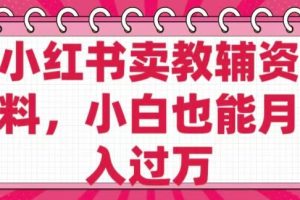 【第9065期】小红书卖教辅资料，0成本纯利润，售后成本极低小白也能月入过W
