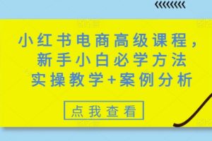 【第9053期】小红书电商高级课程，新手小白必学方法，实操教学+案例分析
