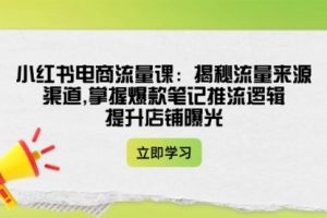 【第9041期】小红书电商流量课：揭秘流量来源渠道,掌握爆款笔记推流逻辑,提升店铺曝光